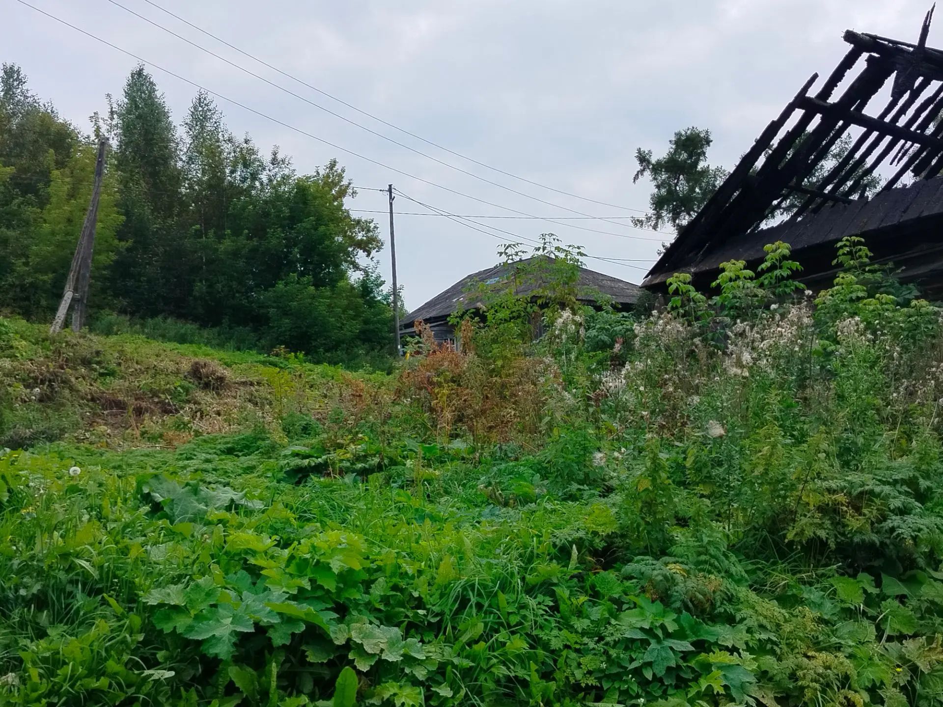 Недвижимость АО "ПромСорт-Урал"